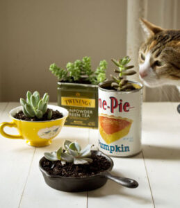 5 DIY Garden Containers